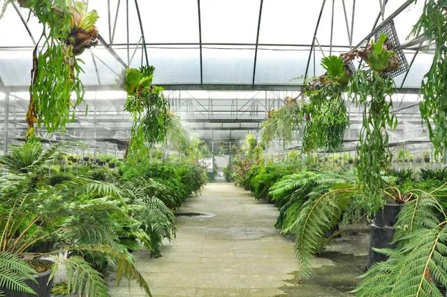 他初中毕业后终身不婚，荒野舍命工作20年，被一群博士封神