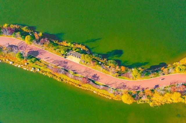 冬日尤恋秋景韵——省耕国学文化公园美如调色板的视觉盛宴