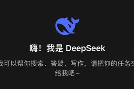 DeepSeek何以创造了“行业奇迹” | 新京报专栏图片