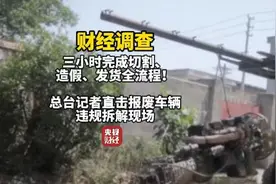 三小时完成拆解、造假、发货一条龙服务！记者直击报废车辆违规拆解现场图片