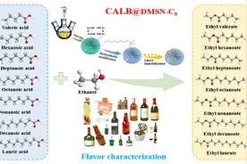 新方法可绿色高效制备食品特征风味酯图片