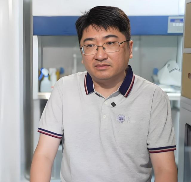 AI+考古：一场全生命周期的学科变革