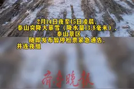突降大暴雪，泰山首批退票2万张图片