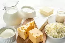 奶业科普 | 奶食奇葩——奶酪图片