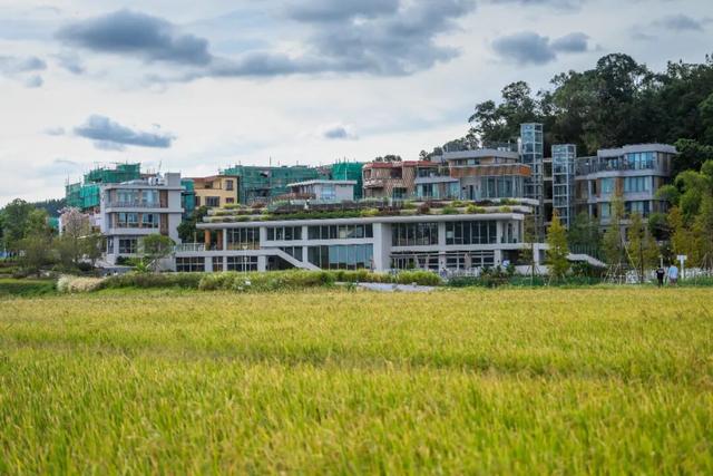 火热报名中｜2025年第三届凤城百里徒步活动来啦！