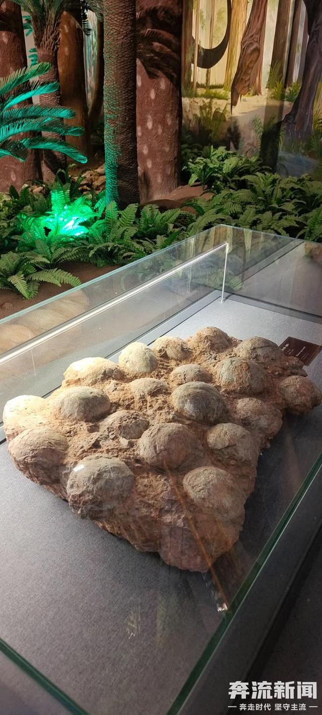 一部手机游甘肃丨刘家峡恐龙馆：传承创新中续写古生物文化传播新篇章