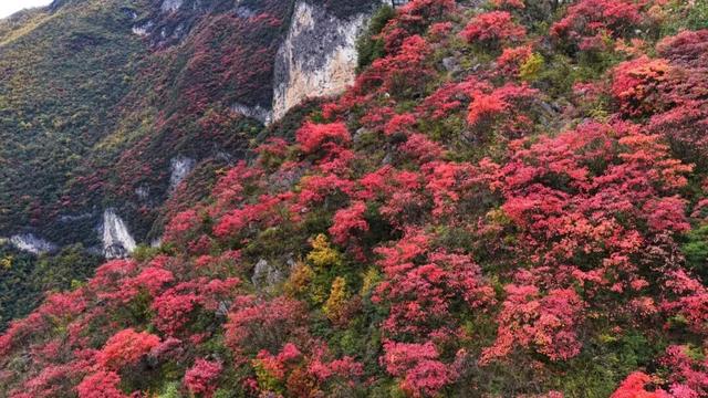 兰英大峡谷：雪染峰峦秋未央（多图）