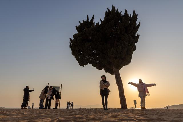 “爱心”树下 暮色醉人