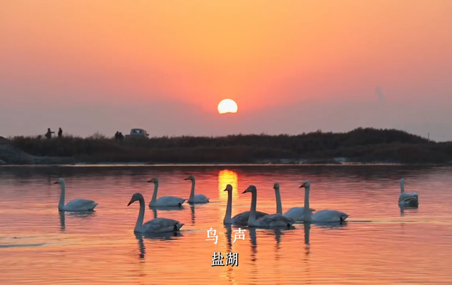 关掉BGM吧！这个夏天，运城大自然的声音比任何音乐都动人