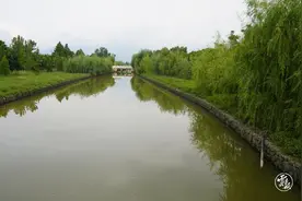 清水入河！澄江全力推进入河排口排查整治图片