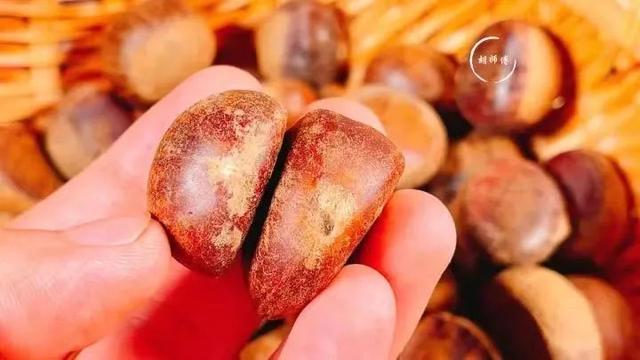 又到栗子季！“栗子控”要知道的那些事全在这了→