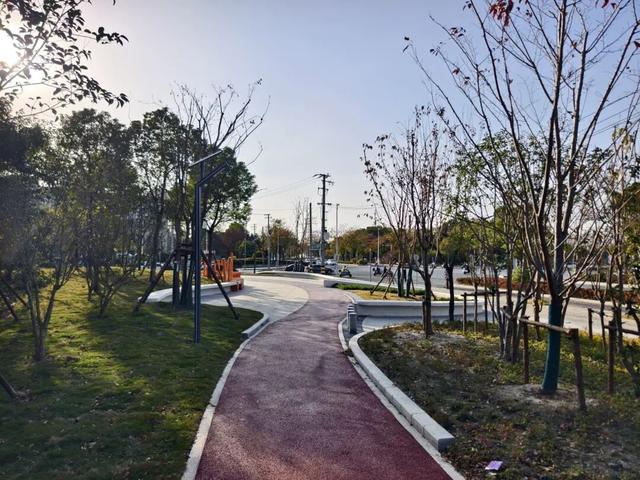 一树一景一步道，宝山这条生态步道升级，遛弯超惬意～