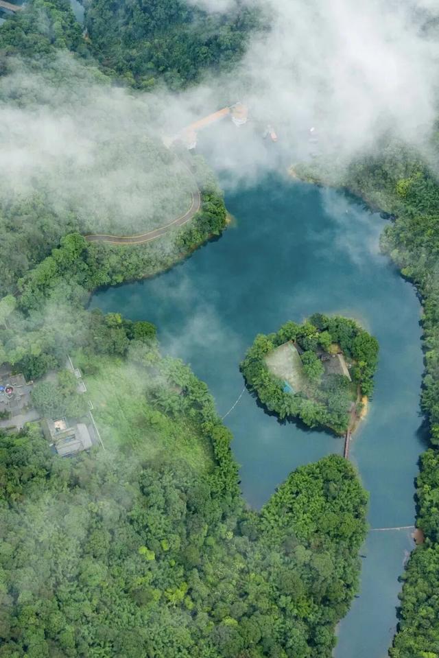 火爆全网！“活力大湾区，魅力新肇庆”！听我的，就这样宣传→