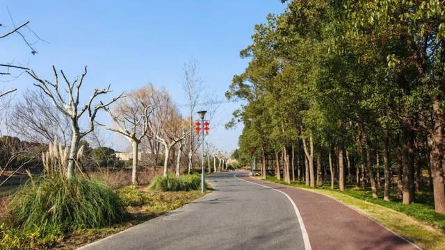 长宁家门口的“宝藏”绿道，运动赏景两不误！