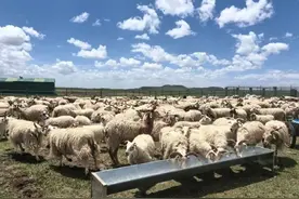 中国石油一项目入选《CMG乡村振兴观察报告》图片