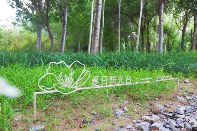 花园街区+坝河夜景！丽都颜值再升级，这样逛——