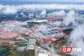 株洲：布局全产业链 现代化生猪生产领跑全省图片