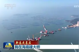 我在海底建大桥图片