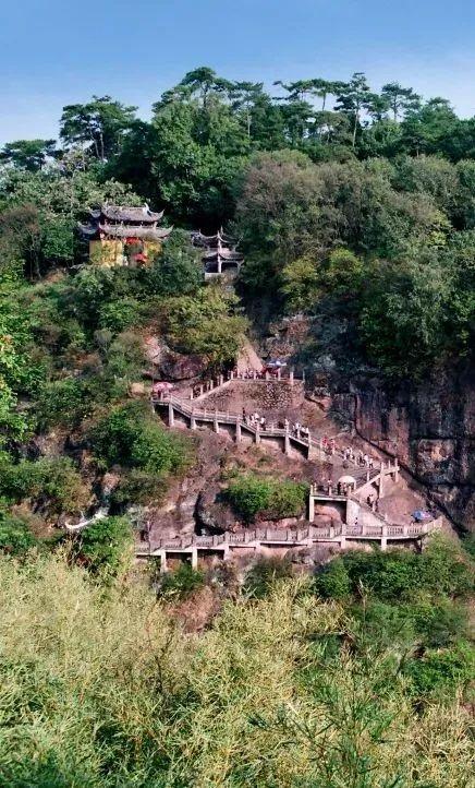 五大旅游主题线路出炉！看完“浙BA”，这样玩转金华→