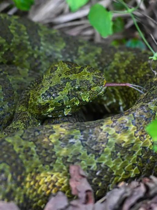 和顶流博主做旅行“搭子”，是种什么体验？