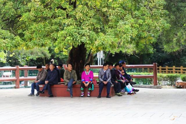 天气真好，一起出门透透气吧~