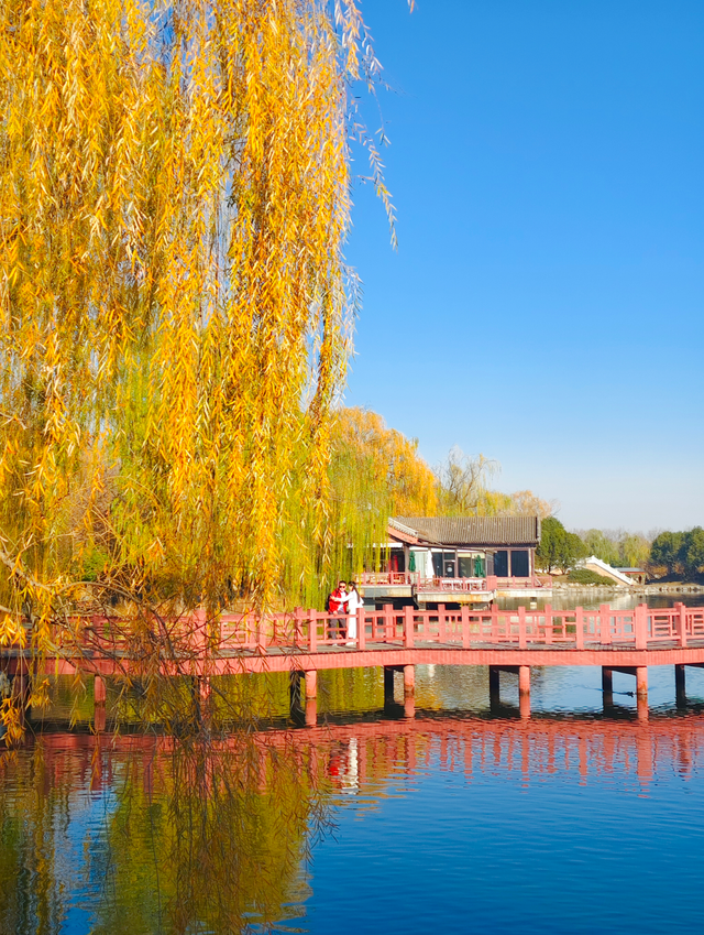 动静皆是景！踏进圆明园的冬日画卷