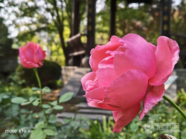 超纤薄设计，轻巧好手感 联想moto X70 Air评测