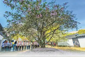 爱此溪山好 阳羡觅东坡（以文塑旅  以旅彰文）图片