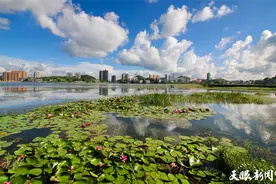 《贵州全域旅游》“跟着徐霞客去露营”——城市地理丨黔中宝地：安顺图片