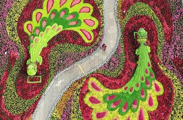 “花花世界”~沈阳，咔咔出片！