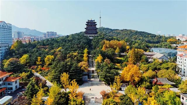 冬游威海 情满山海丨威海又上央视！鞠萍姐姐为啥说太“熨帖”了？