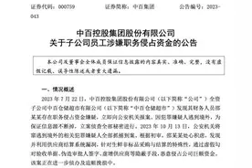 涉嫌职务侵占2.19亿元资金，窜逃境外！中百集团子公司财务人员邵某某被抓捕到案图片