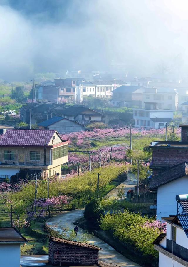 老祖宗“严选”，为何是湖南这个地方？