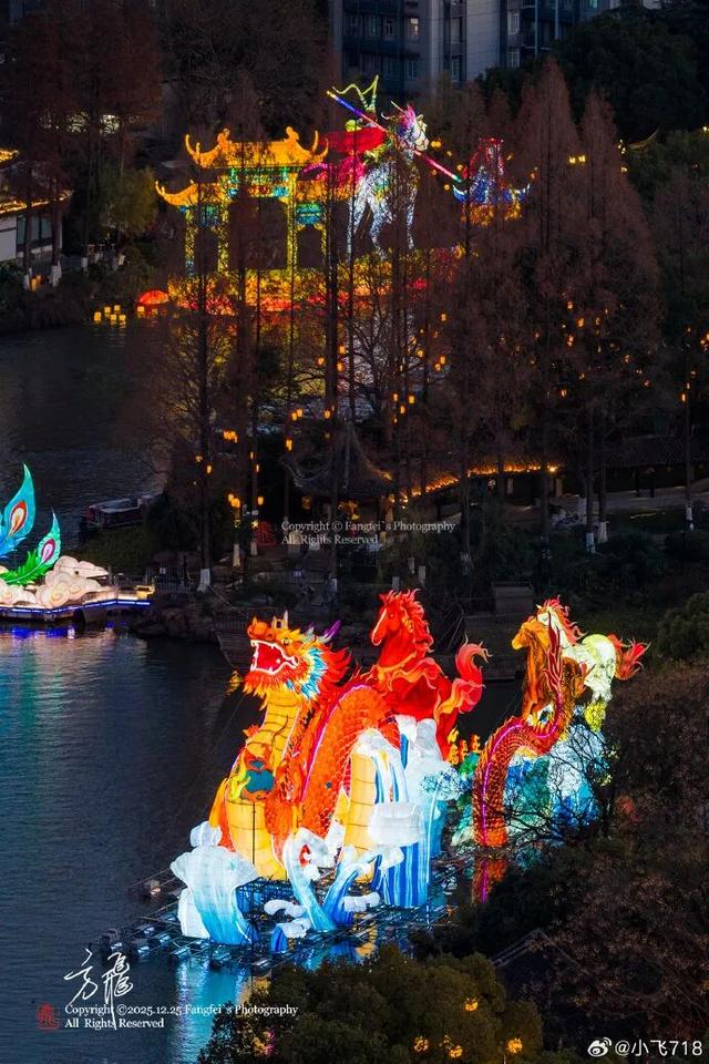 门东新“顶流”！一棵美到让全南京排队围观的树！