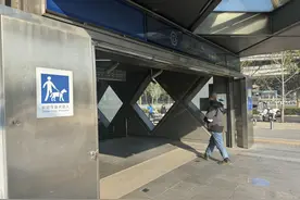暖心举措引发市民点赞，导盲犬标识走进地铁站公交车图片