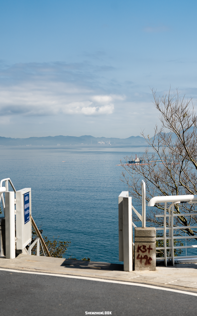 “看牛看海看夜景，深圳骑行路线精选”