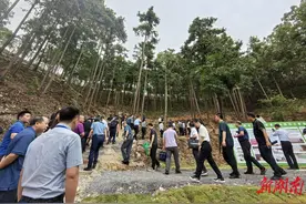 湖南：已建成林火阻隔系统9568公里，其中生物防火林带4298公里图片
