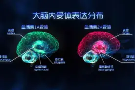 针对复杂精神疾病，上海科学家提出多靶点、多功效药物设计新方法图片