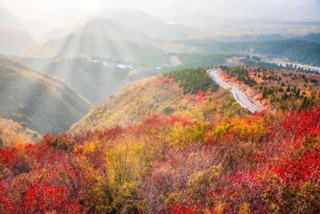 郑州出发！1小时内高铁圈藏不住了