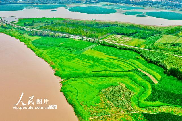 山西平陆：黄河岸畔景美如画