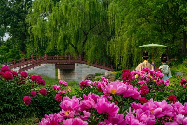 漫谈圆明 | 我和圆明园的十余年