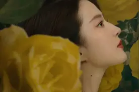 靳东、于和伟等争“最佳男主”，刘亦菲入围“最佳女主”，谁是最后赢家？图片