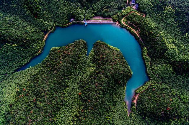 青山留我住江南｜杭州余杭这一抹绿，别开生面