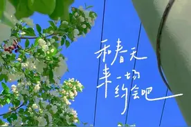 接下来的东营，是这样的…图片
