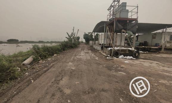 小斗湖鳘鱼胶效果 2026年斗湖鱼胶的功效与作用