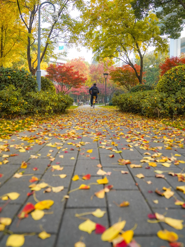 出站即是大片！上海秋日最美地铁站已上线→