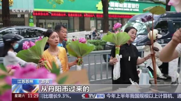 苏州荷花市集，火上了央视！