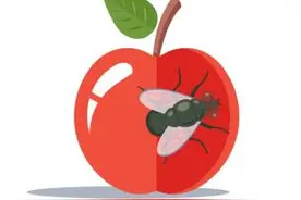 天热苍蝇太嚣张？别慌，超全灭蝇指南来了！图片