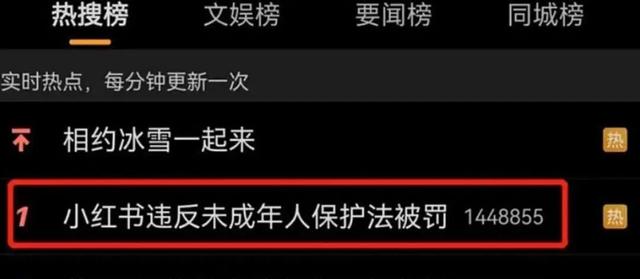 小红书“塌房”：以“种草”闻名的社交巨头，被点名“破坏网络生态”