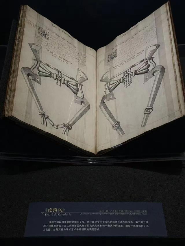 秦淮有展 | “欧洲骑士盔甲和文化展”首临南京，来城墙博物馆看真的“骑士天团”！